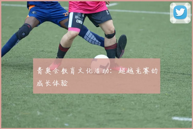 青奥会教育文化活动：超越竞赛的成长体验