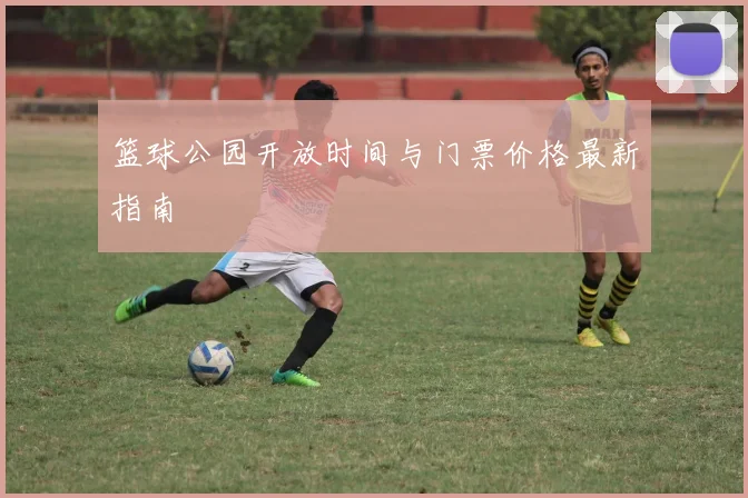 篮球公园开放时间与门票价格最新指南