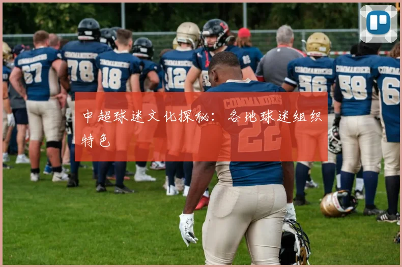 中超球迷文化探秘:各地球迷组织特色