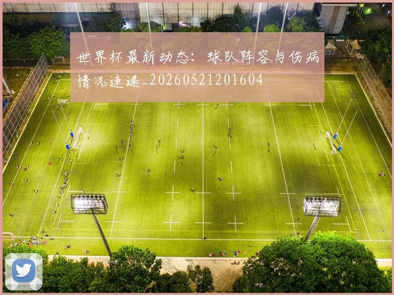 世界杯最新动态：球队阵容与伤病情况速递_20260521201604